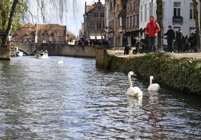 Uitstap in Brugge 28 maart 2026