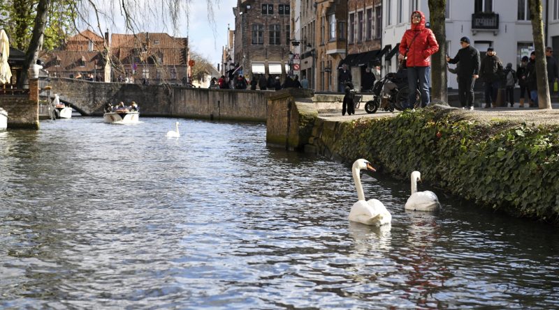 Uitstap in Brugge 28 maart 2026